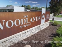 The Woodlands- vision v3