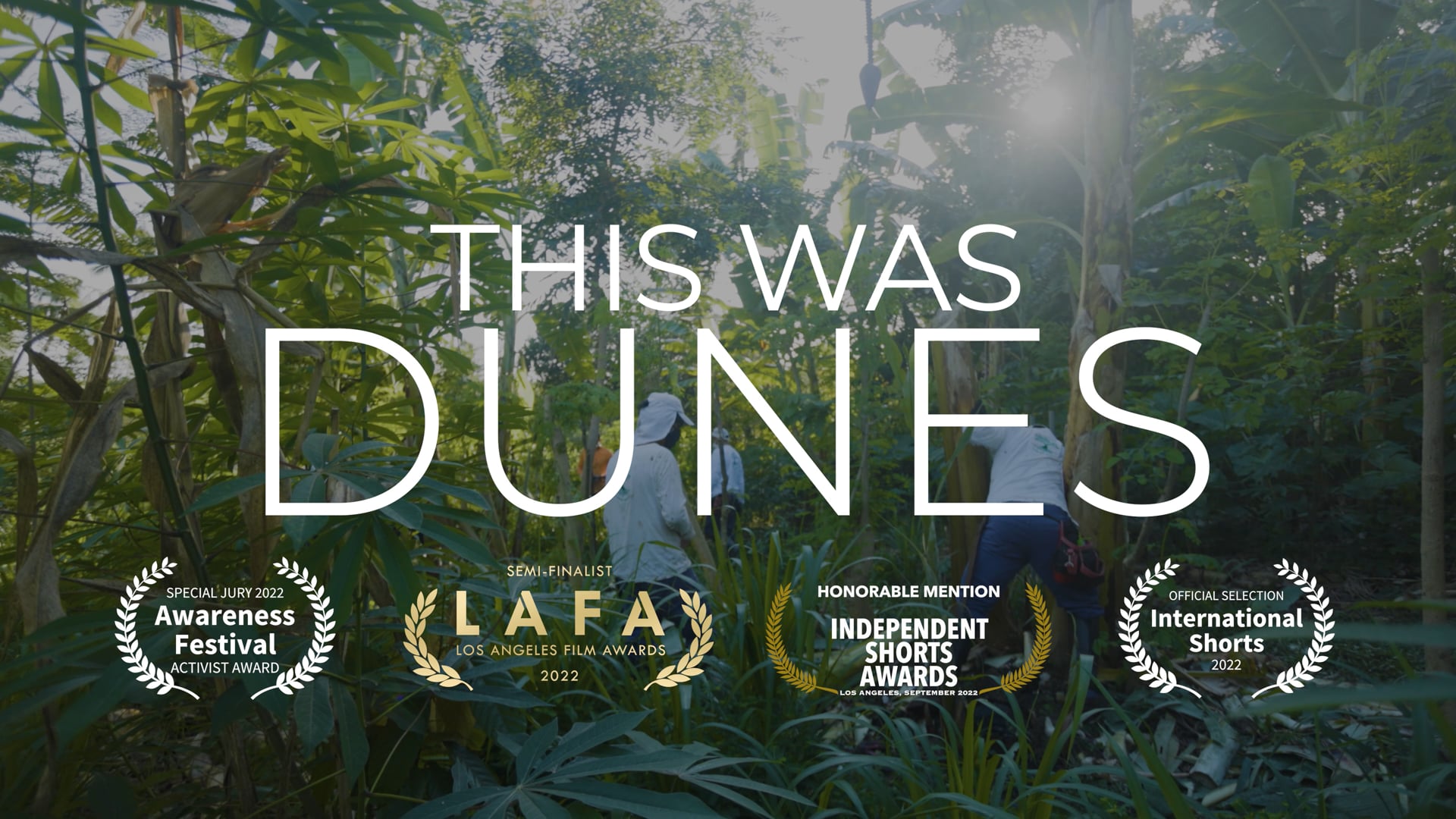 This Was Dunes - Official Trailer