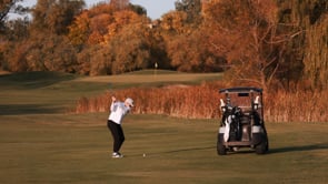 Related Embedded Video Item Thumbnail