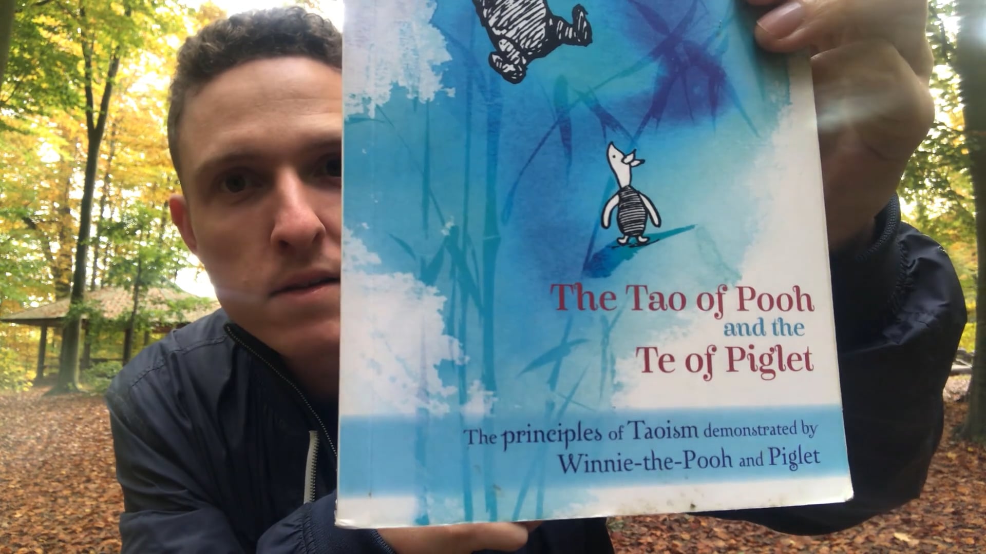 Book review: "The Tao of Pooh"