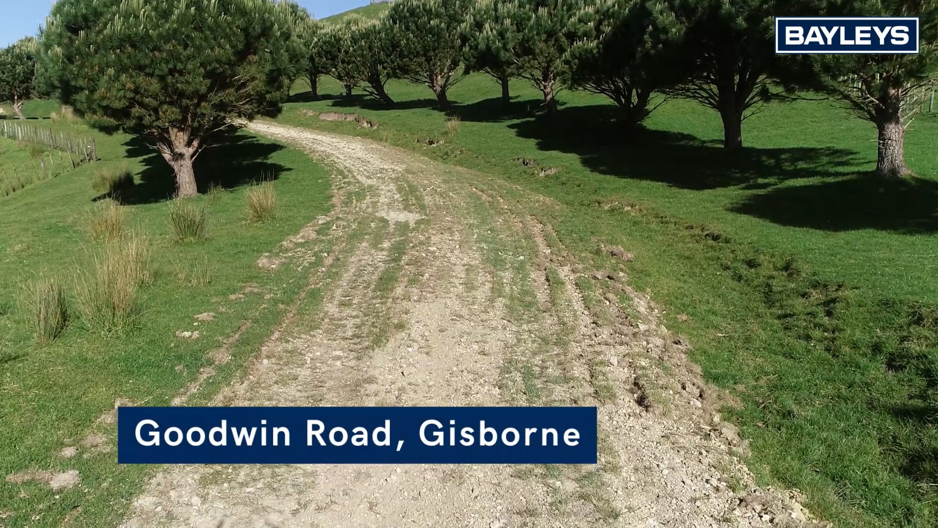 Goodwin Road 169_1.mp4 on Vimeo