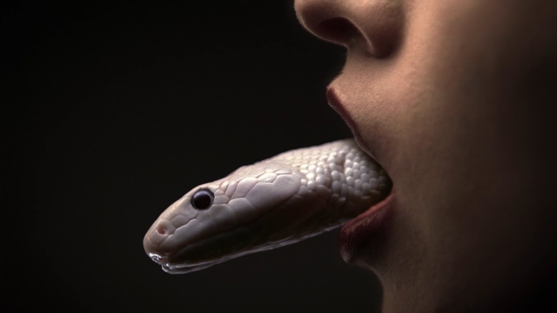 American Horror Story S3 –  TV10 “Slither”