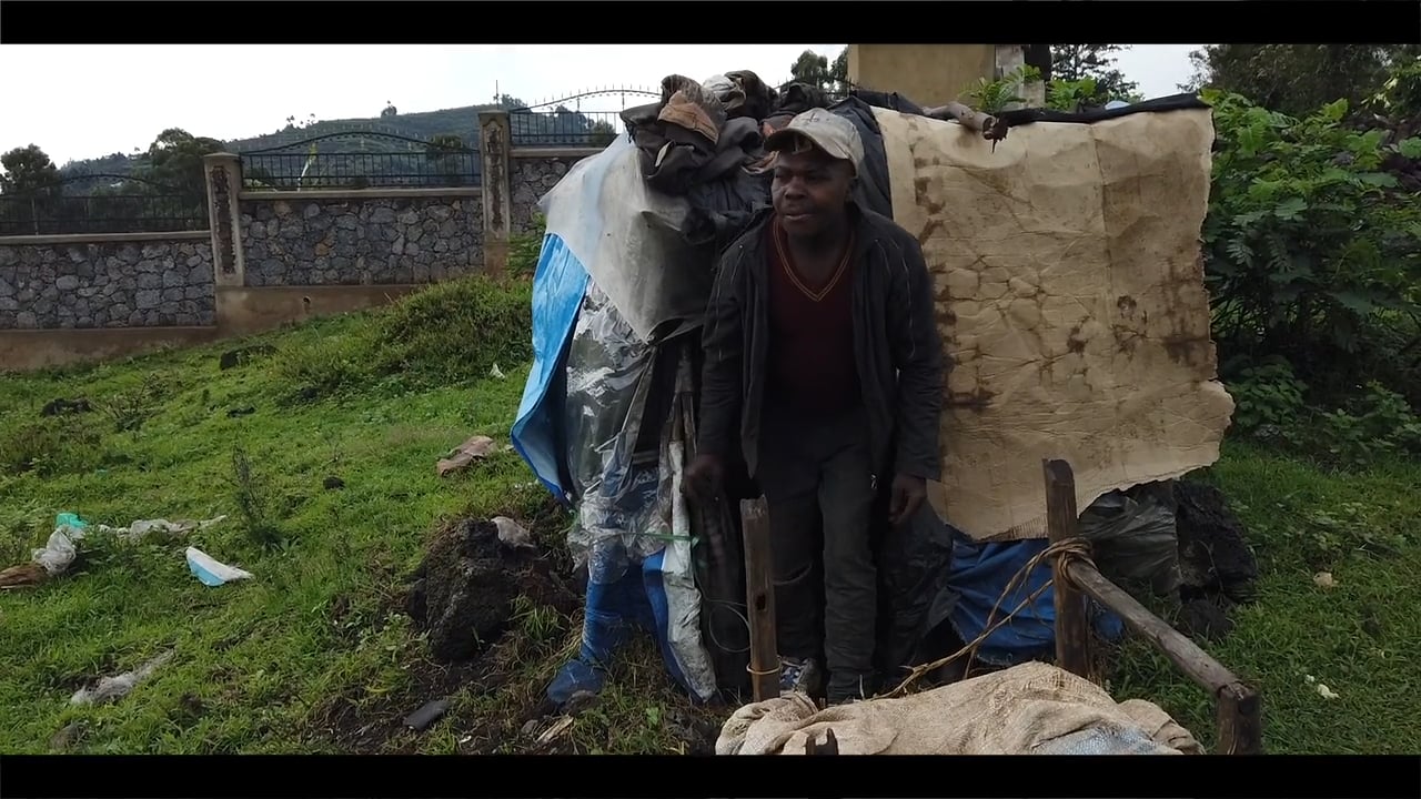 PLANT FRUIT - The Kisoro Hill Batwa