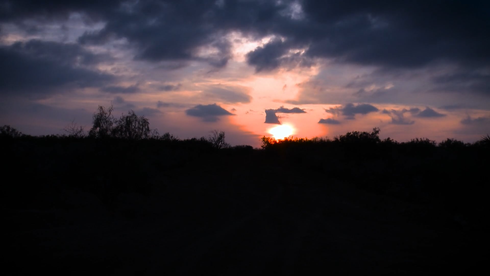 Just Junie S1 E3 Clip