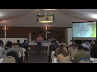 Digestibilidad del almidón y su implicación en la nutrición de vacuno lechero