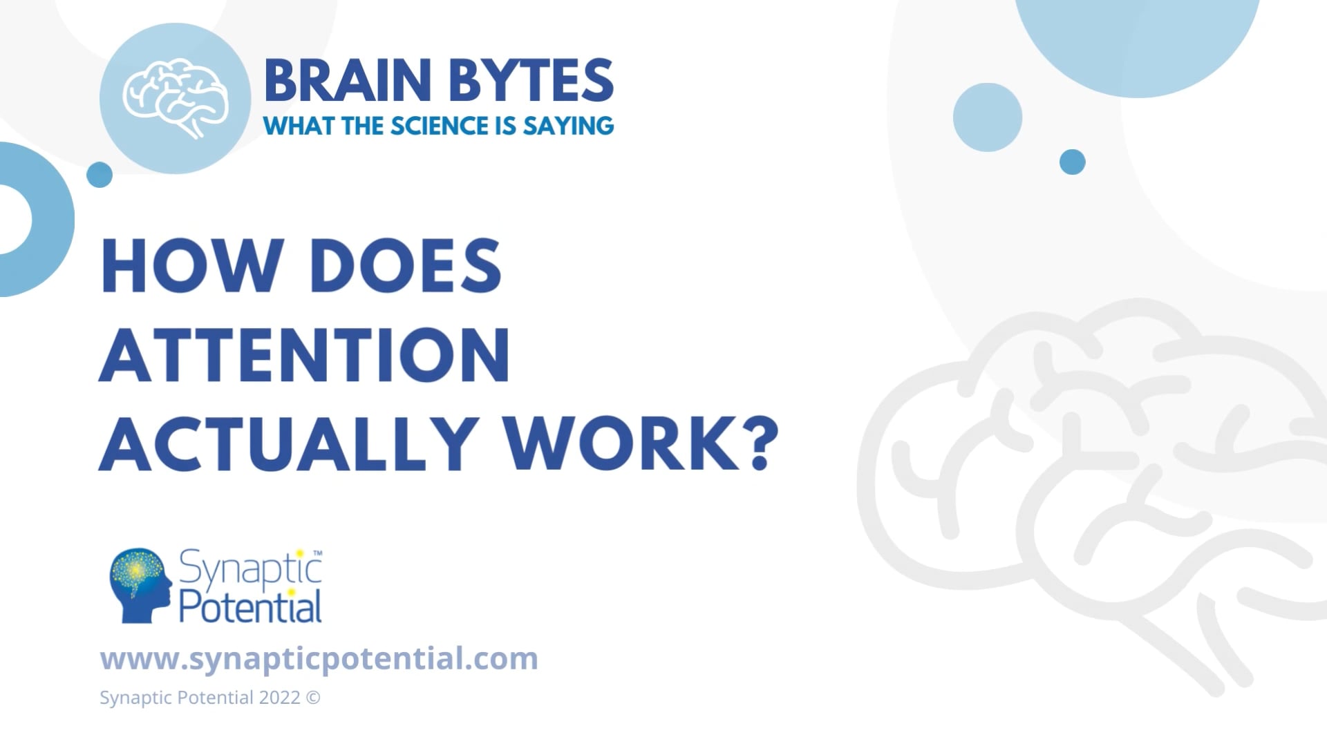 Brain Bytes - How Does Attention Actually Work? On Vimeo