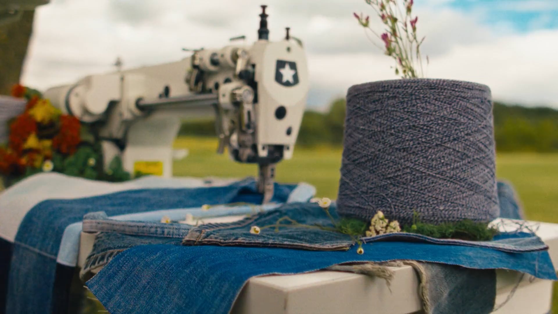 Levis - Back to eco - Laura Vifer