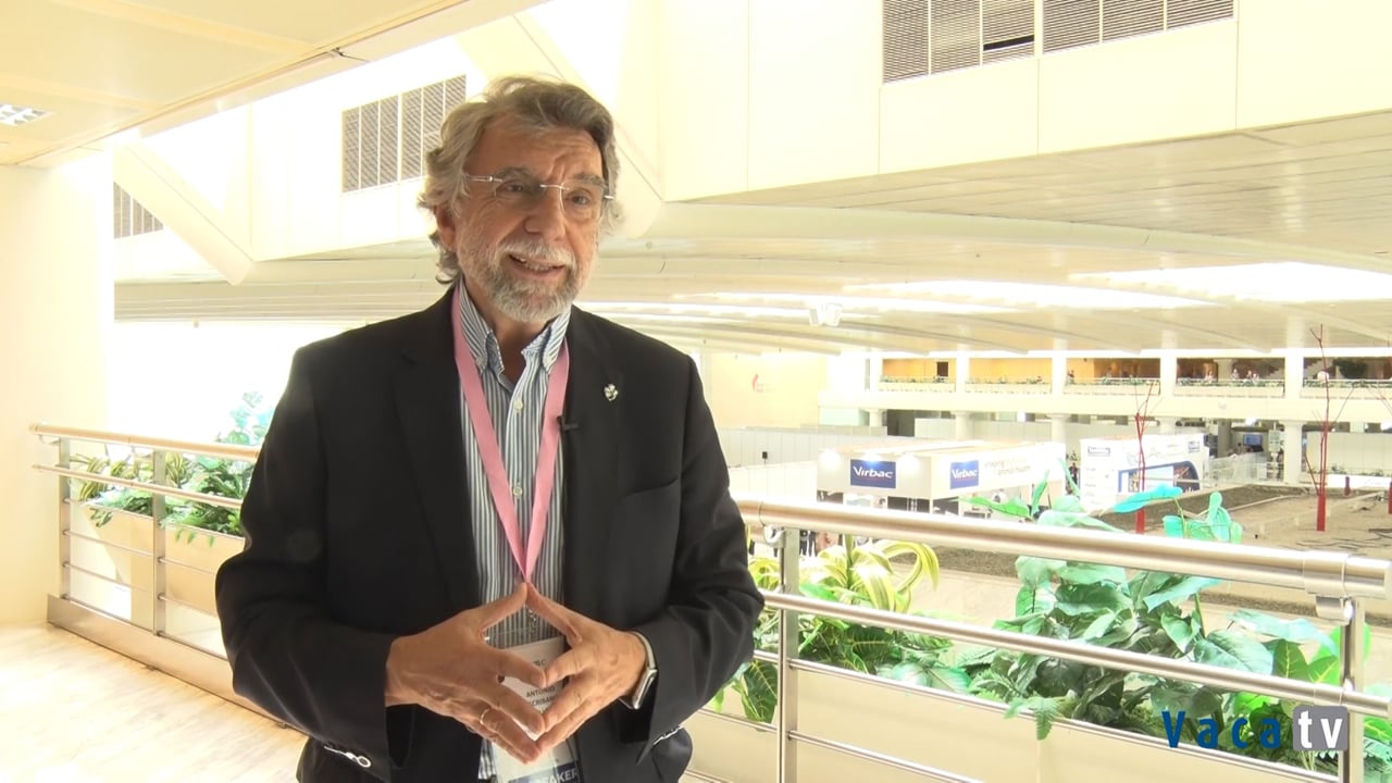 Entrevista a Antonio Escribano Revista Vaca Pinta En Castellano