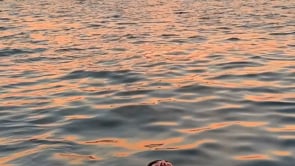 Motion — Sam Youkilis, Mini Title 2025