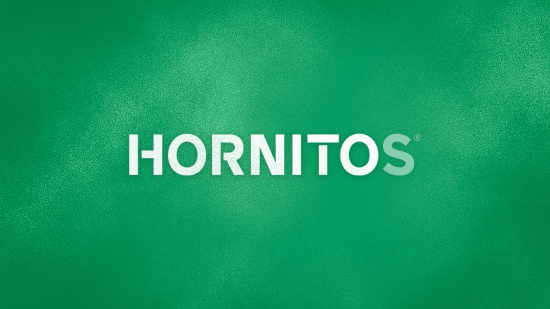 HORNITOS- VISIONS OF AGAVE