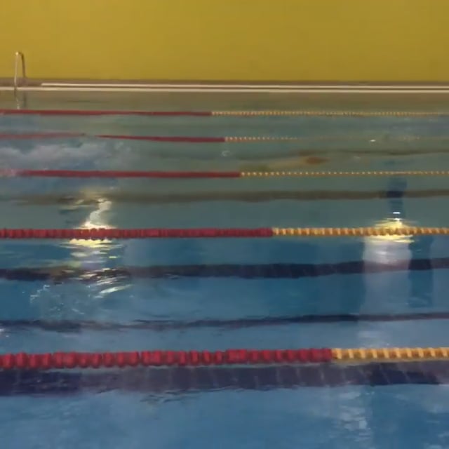 Freestyle 