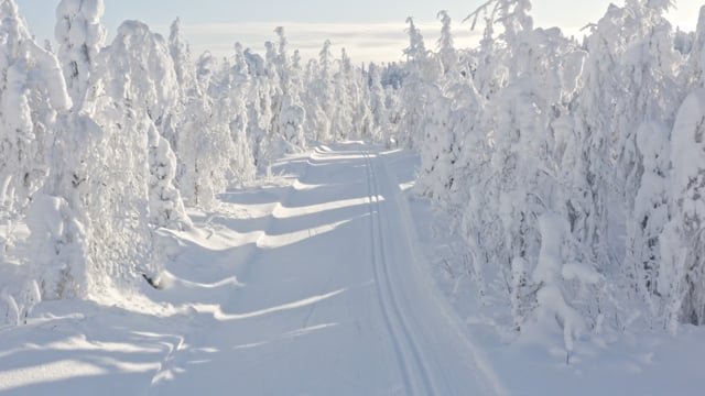 Tahko maastohiihto | Hiihtoladut ja latukartta