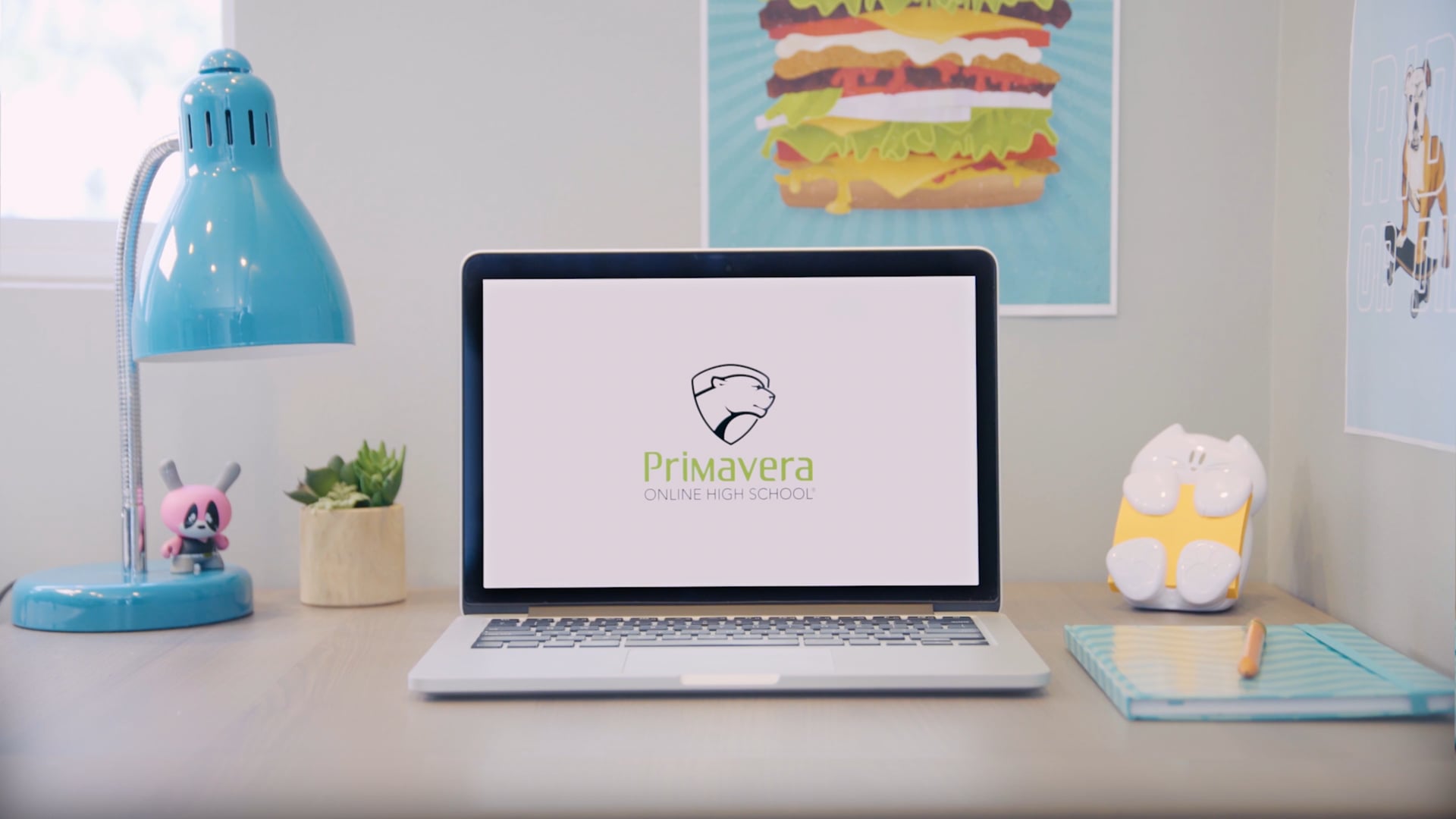 Options and Flexibility at Primavera Online