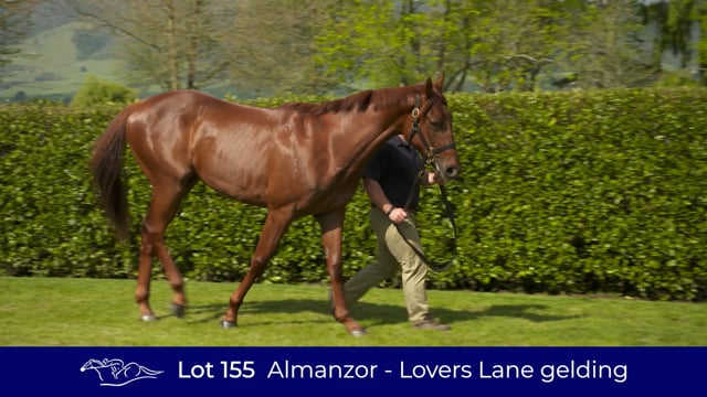 Lot 155