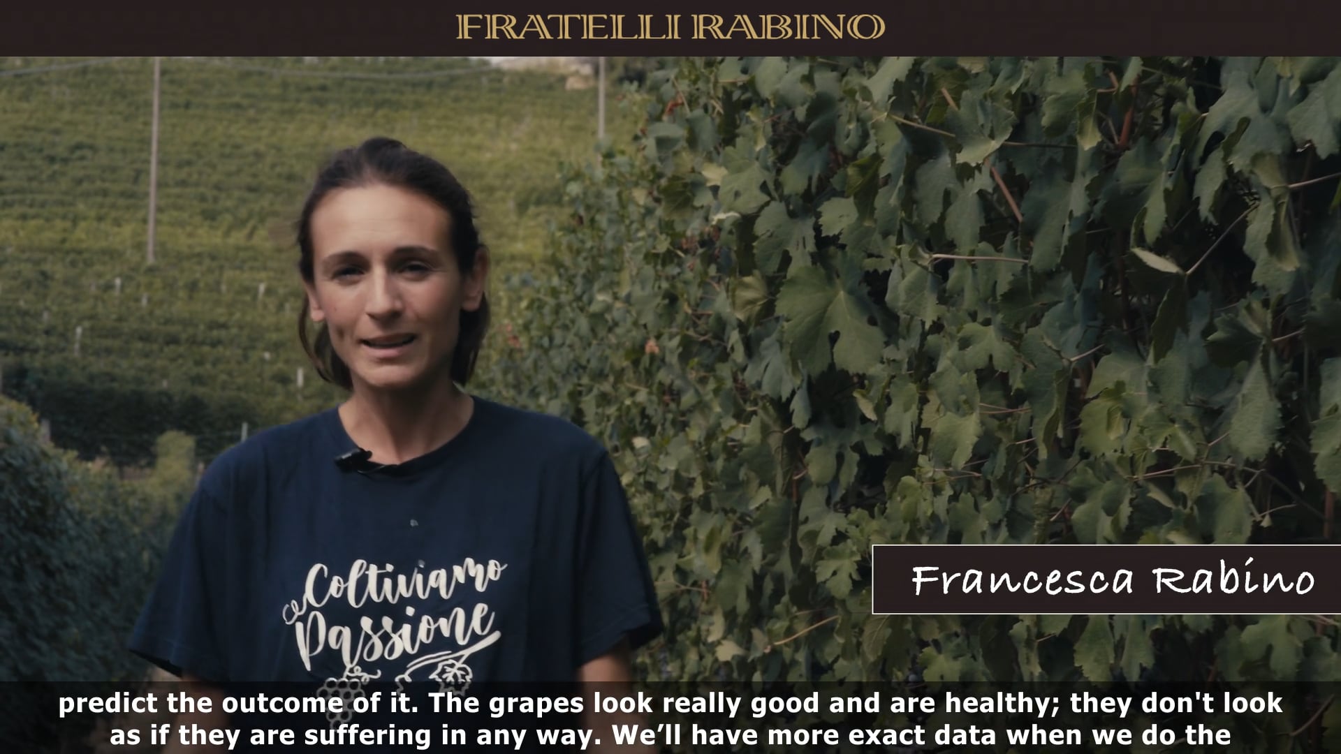 ANNATE & VENDEMMIE | 2022