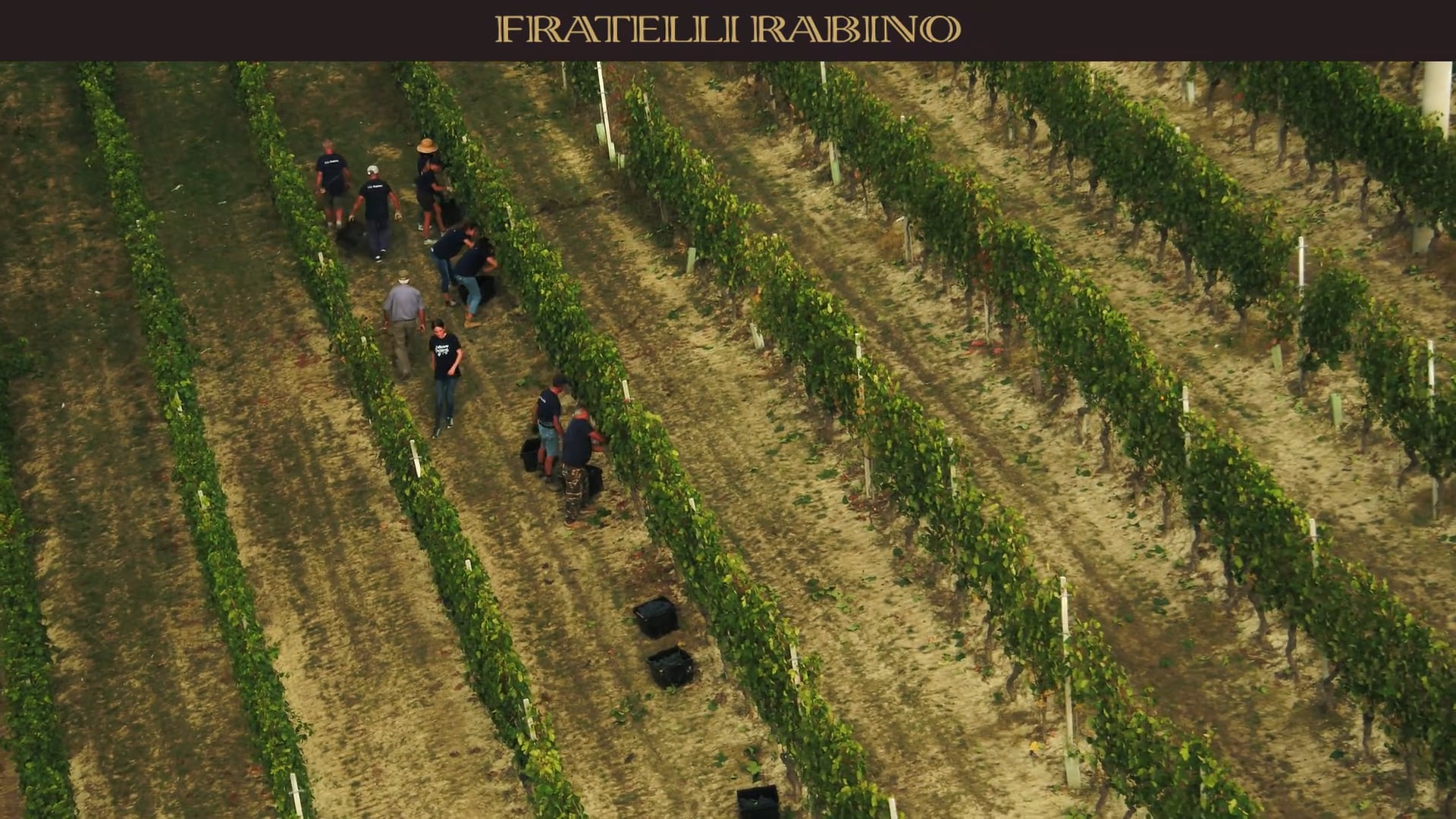 ANNATE & VENDEMMIE |  2021 | 1° episodio