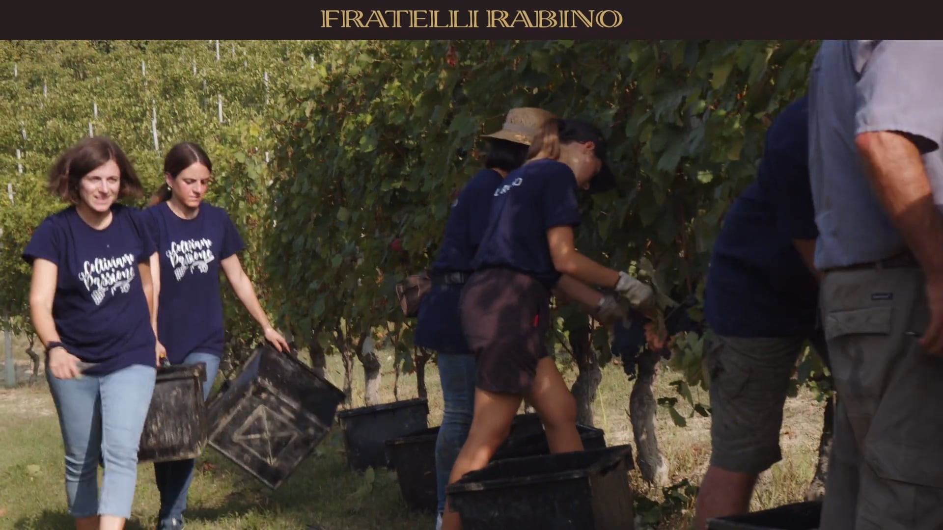 ANNATE & VENDEMMIE |  2021 | 2° episodio