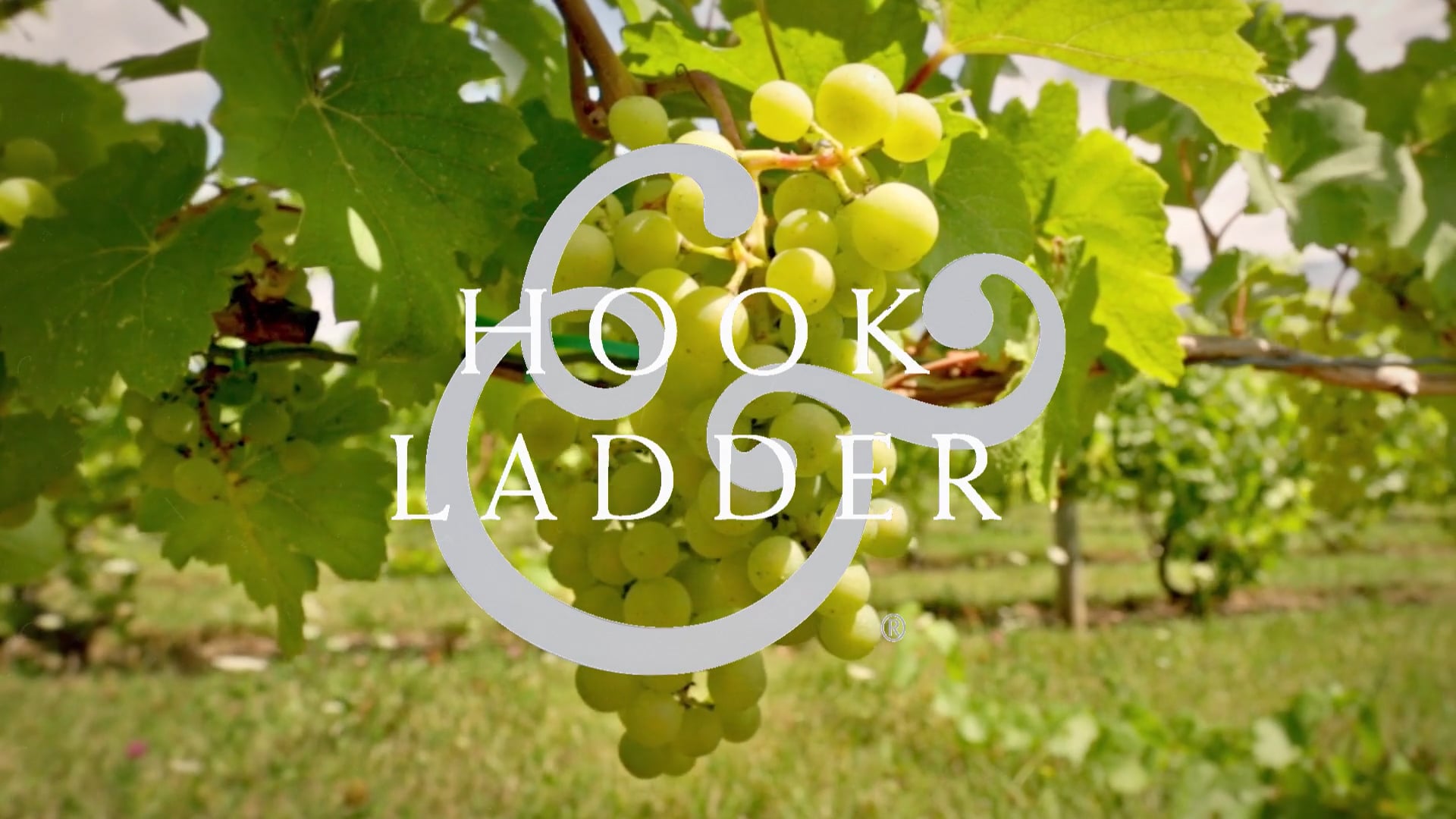 Hook & Ladder Vineyards & Winery Overview on Vimeo