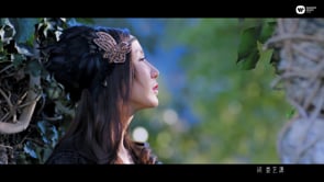 Related Embedded Video Item Thumbnail