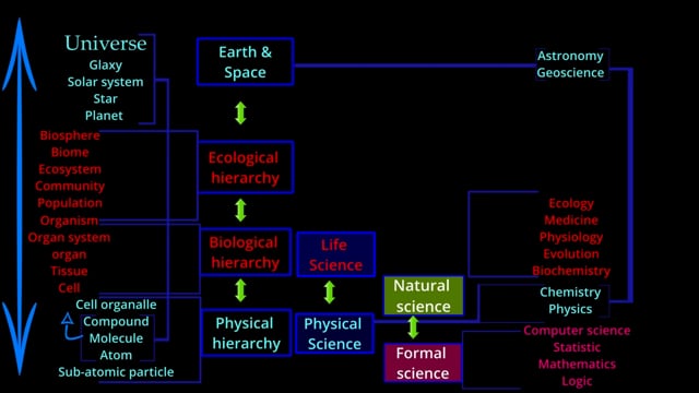what is science and how many branches of science