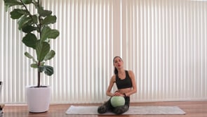 Mat work for spine health & mobility