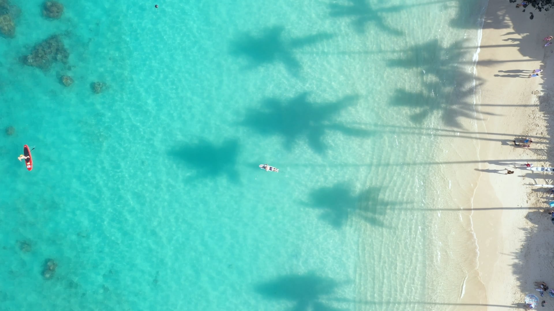 Marquis vacations llc destination weddings and family vacations