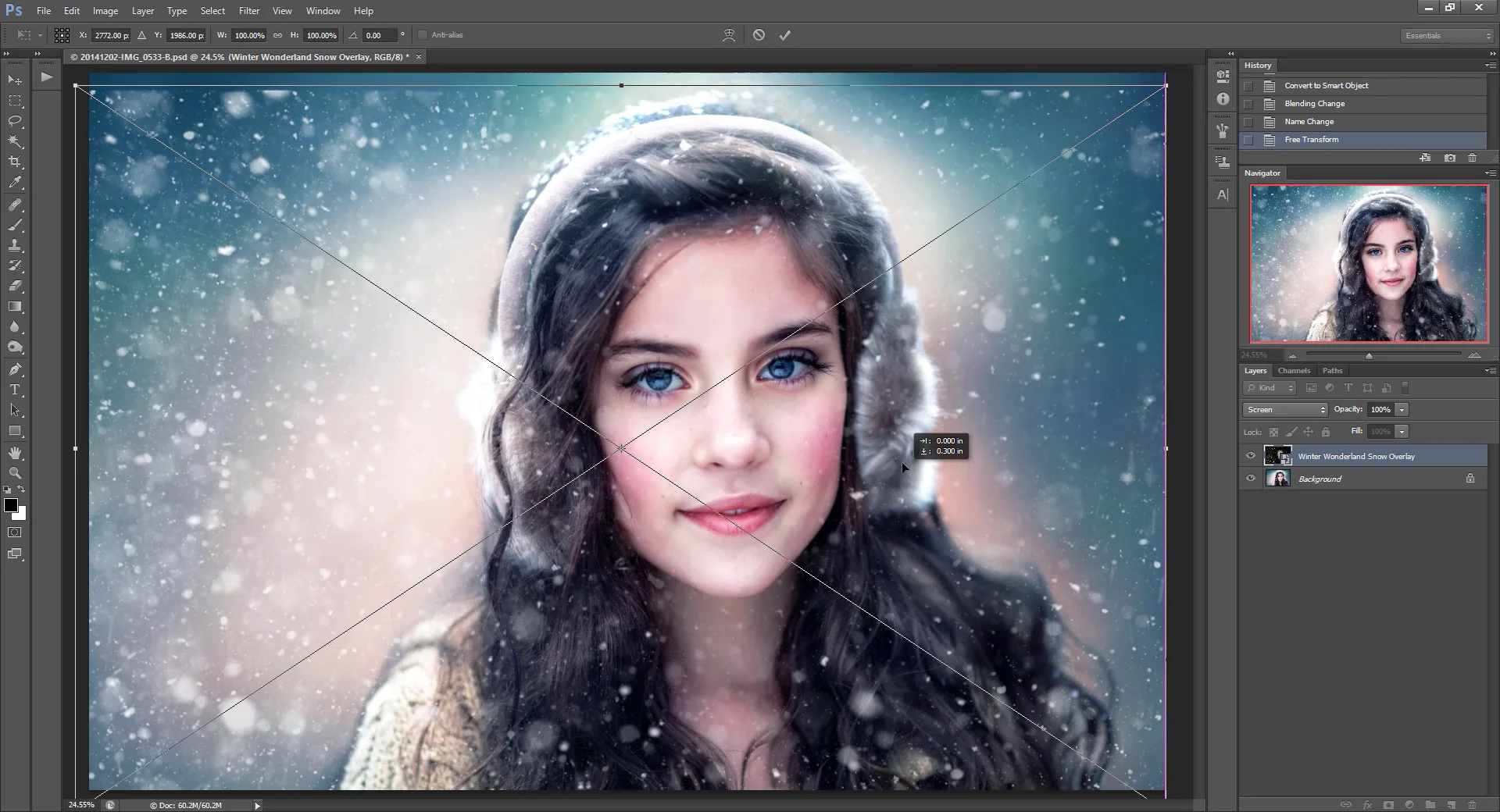 Winter Wonderland Snow Overlays for Photoshop | Genuine Snow