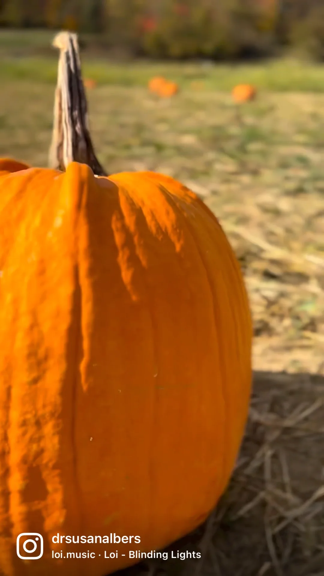 Happy Fall on Vimeo