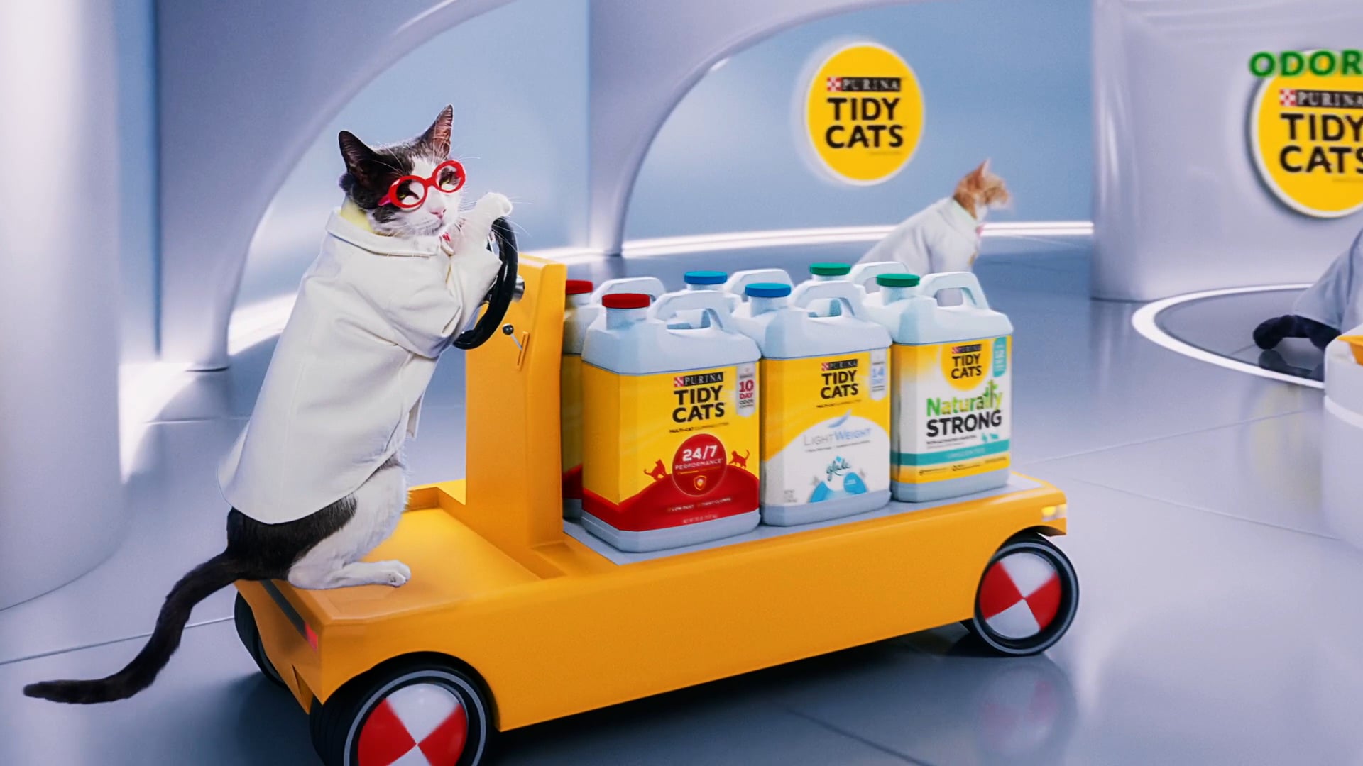 purina tidy "cats labratory"