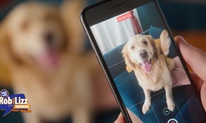 Your Dog Can Be an Influencer