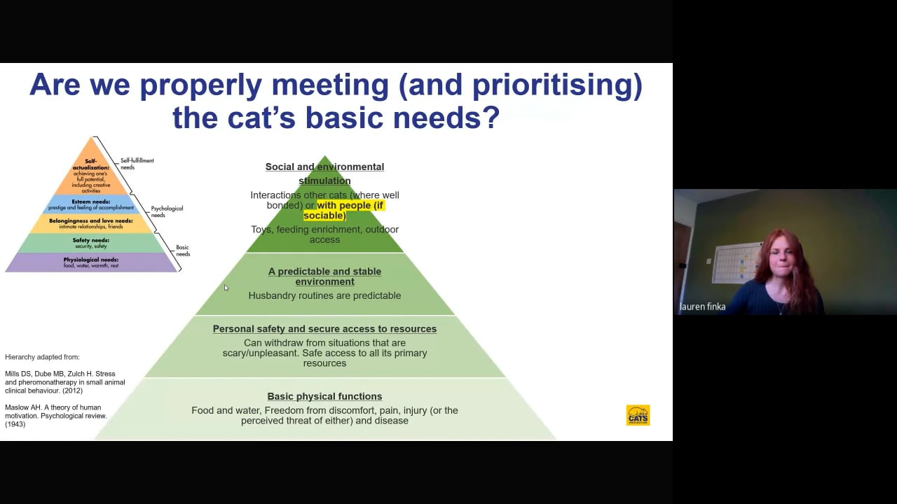 Monthly cpd - Lauren Finka part 2 (2022-10-24 14_46 GMT+1).mp4 - Bryony Francis