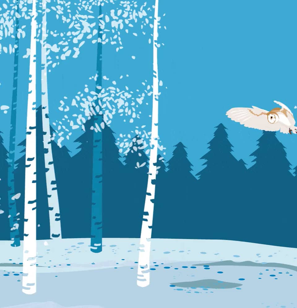 Woodland Animation.mp4 on Vimeo