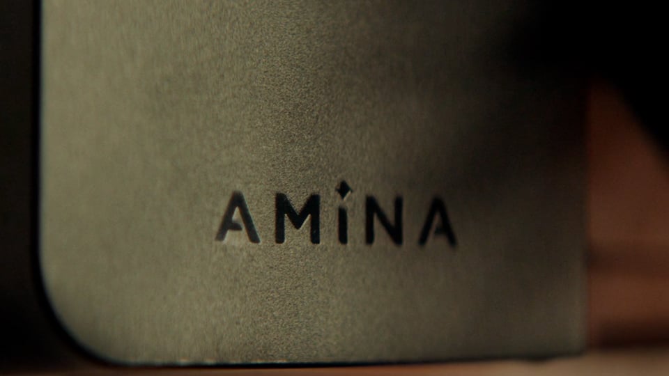 Amina Charging