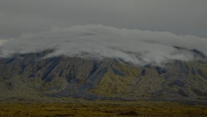 social header