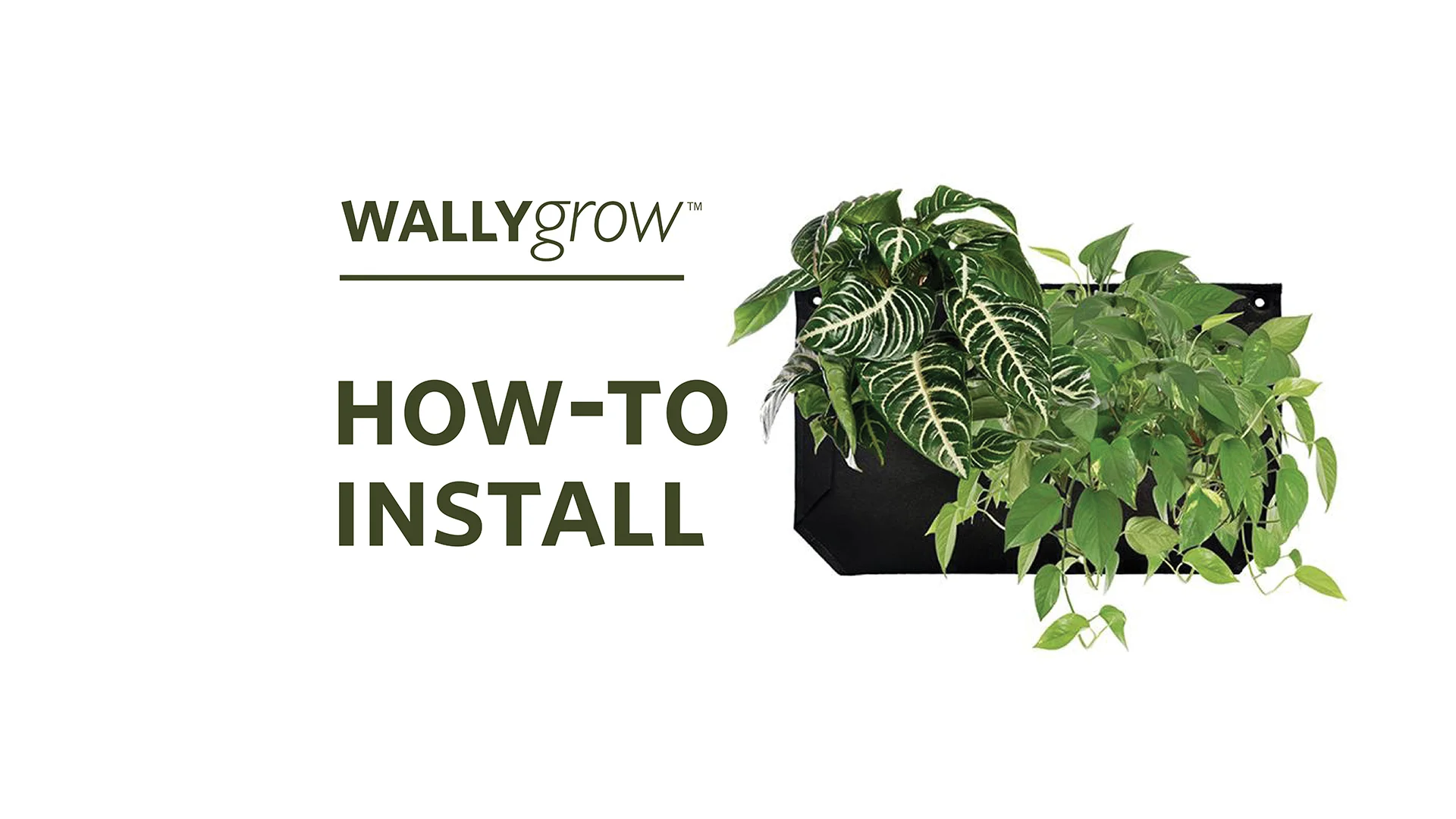 Pocket 3 Black Wall Planter | WallyGrow