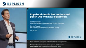 Rapid and simple AAV capture and polish DOE with new digital tools