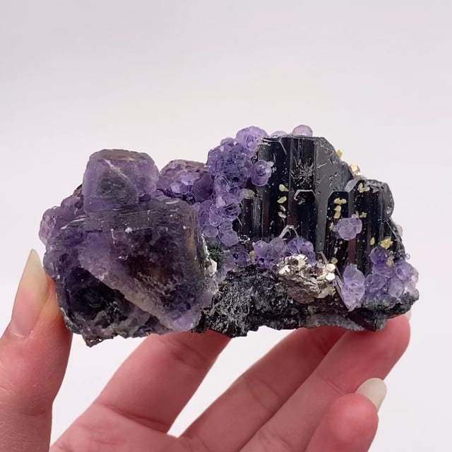 Fluorite on Ferberite (ex Dr. Stephen Smale Collection)