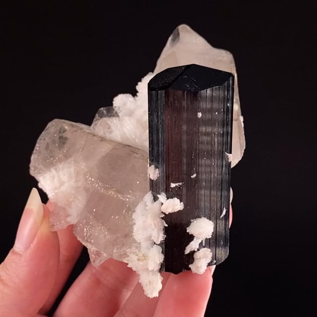 Schorl Tourmaline (fine crystal) with Quartz, Albite and Topaz