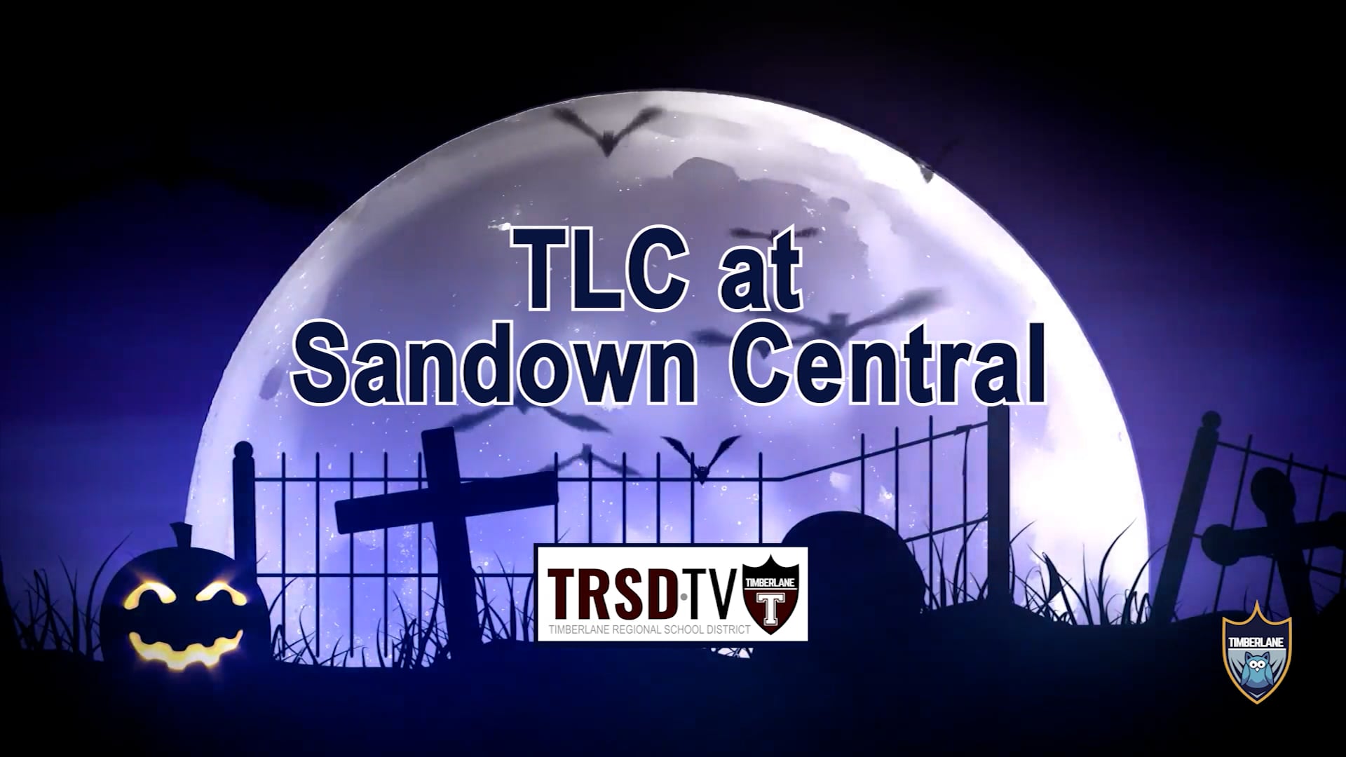 TLC at Sandown Central Halloween Parade 2022 on Vimeo
