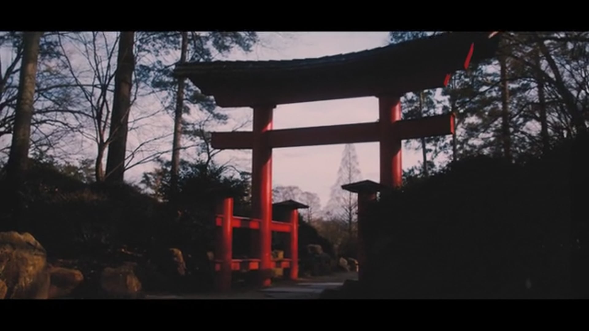 Slow Garden | WDA Original Series