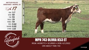 Lot #17 - MPH 743 OLIVIA K53 ET