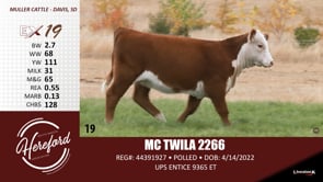 Lot #19 - MC TWILA 2266