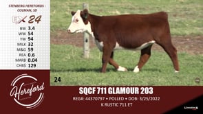Lot #24 - SQCF 711 GLAMOUR 203