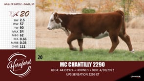 Lot #20 - MC CHANTILLY 2290