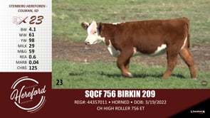 Lot #23 - SQCF 756 BIRKIN 209
