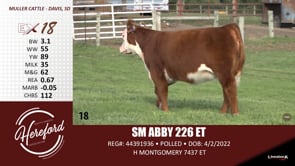 Lot #18 - SM ABBY 226 ET
