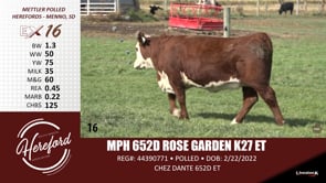 Lot #16 - MPH 652D ROSE GARDEN K27 ET