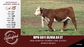 Lot #15 - MPH 6011 OLIVIA K4 ET