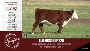 Lot #14 - LLH MISS 65F 228