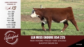 Lot #13 - LLH MISS ENDURE 054 225
